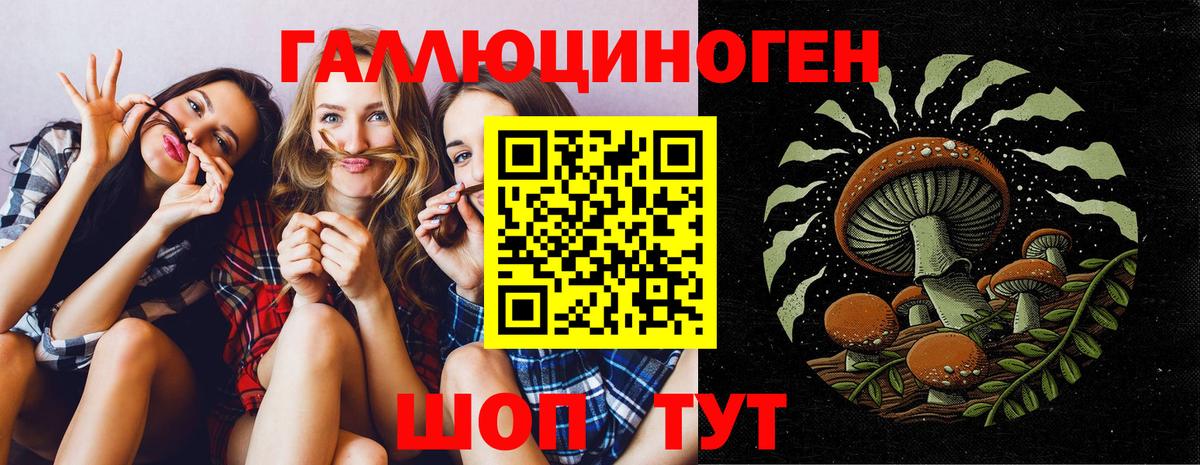 Галлюциногенные грибы прущие грибы Алейск
