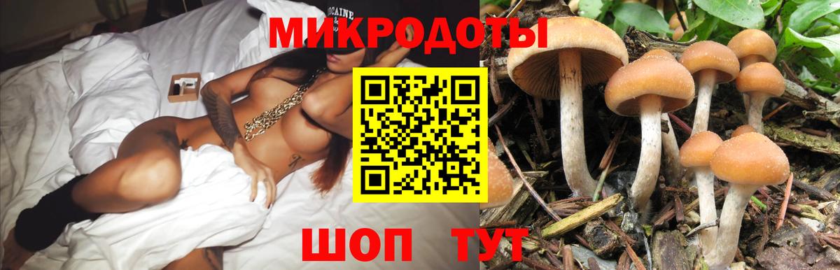 Алейск  Галлюциногенные грибы Psilocybine cubensis  даркнет сайт  Вход с VPN 