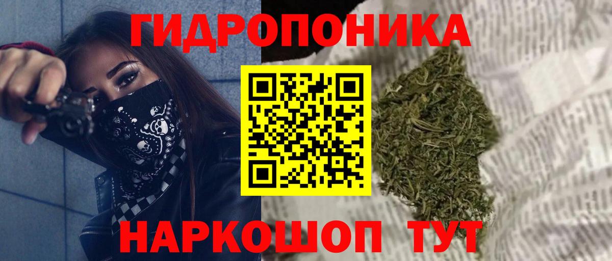 Канабис сатива  Конопля Bruce Banner  Вход с VPN  Алейск 